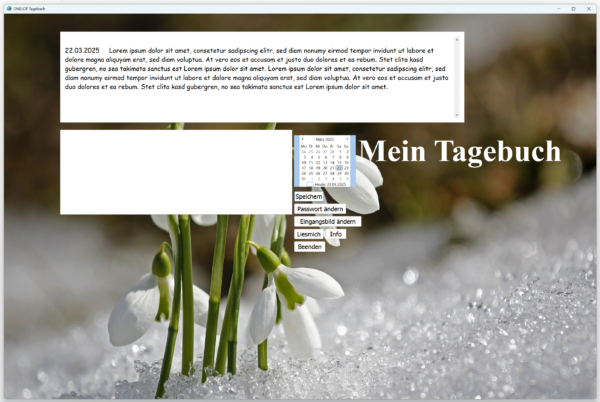 ONELOT Diary - Image 2